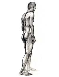 Drawing Life Drawing Sitter Anatomy